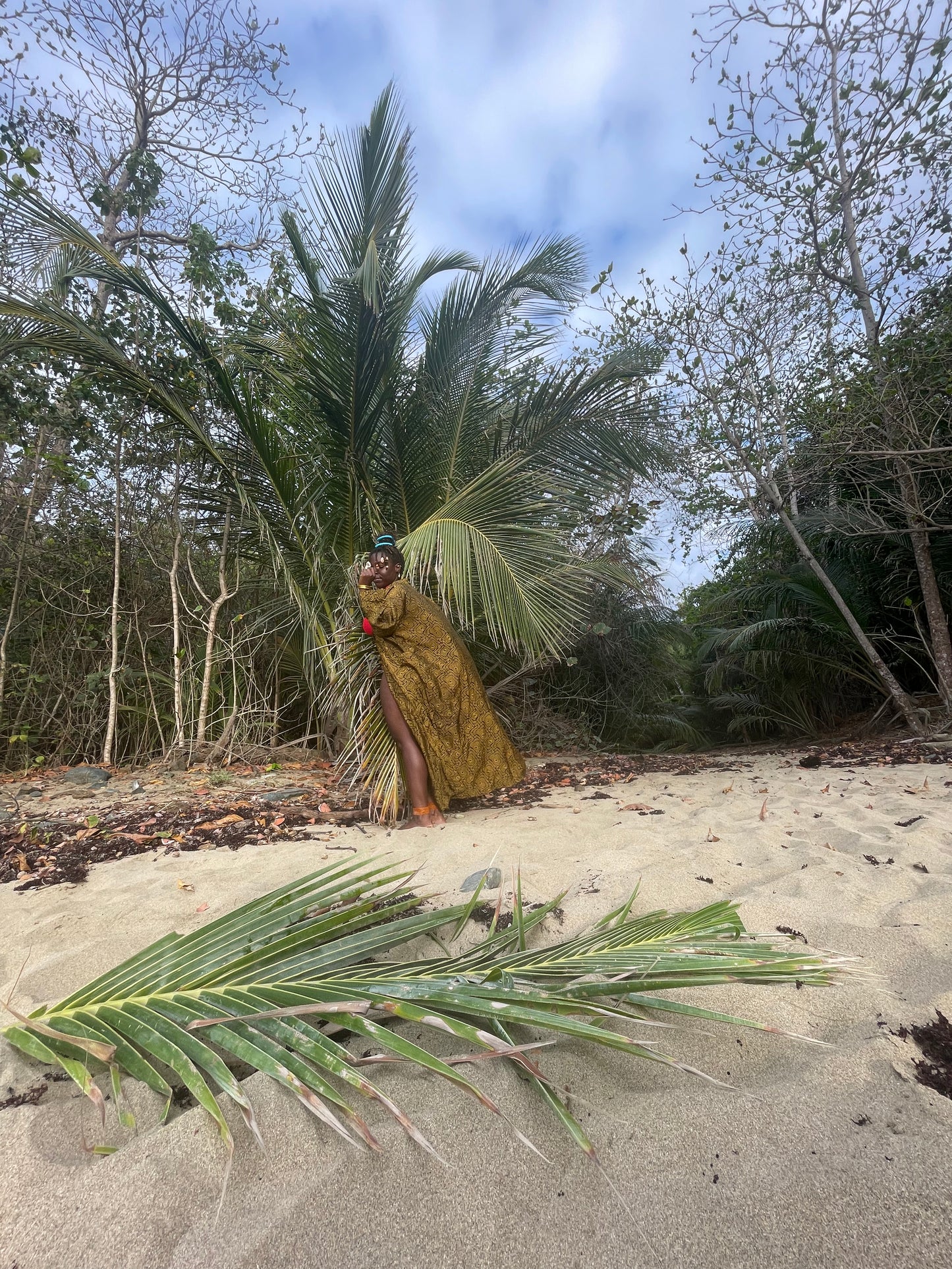 Gala on a Beach