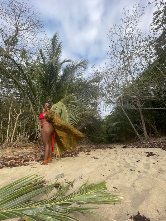 Gala on a Beach